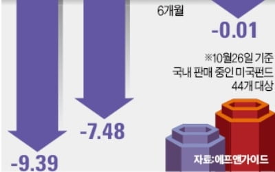 美 주식형 펀드 너마저…한달동안 10% 손실