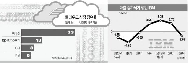 IBM '클라우드 사업' 풀베팅…340억달러에 레드햇 품었다