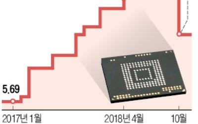 2년4개월 만에 고정거래價 미끄럼…D램 가격 10.7% 급락