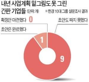 삼성도 현대車도…"내년 사업계획 백지"