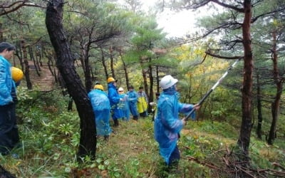 한라시멘트, 동해휴게소 인근 '국민의 숲'에서 숲가꾸기 체험행사 개최