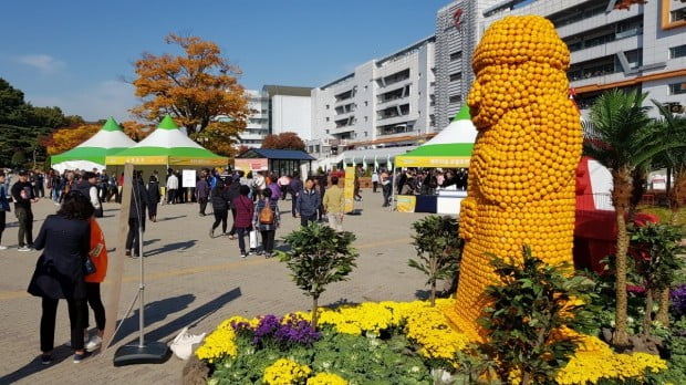 7만명 찾은 '제주애(愛)잇다'…렛츠런파크에서 성황리 열려