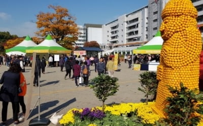 7만명 찾은 '제주애(愛)잇다'…렛츠런파크에서 성황리 열려