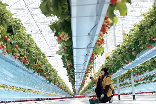 '드론에서 로봇까지' 첨단 기술로 재탄생…농업의 '화려한 귀환'