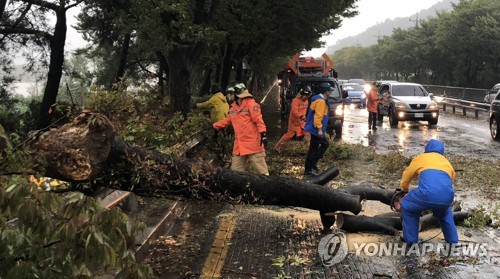 태풍 '콩레이' 영향 벗어난 경남…인명피해 없지만 곳곳 상처