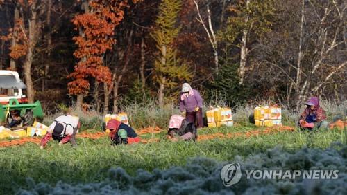 오늘 '한로'…철원 0.4도·설악산 1.1도 강원 아침 기온 '뚝'