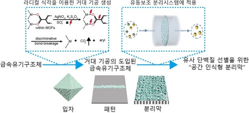 유사 단백질 가려서 골라내는 신소재 분리막 개발