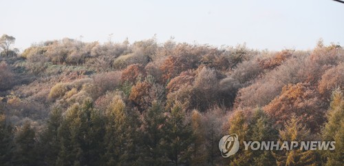 설악산 영하 4.1도…강원 산간은 이미 겨울