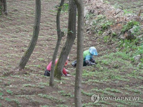 임업 경영인 가구 수입 전체 임가 평균의 2.2배