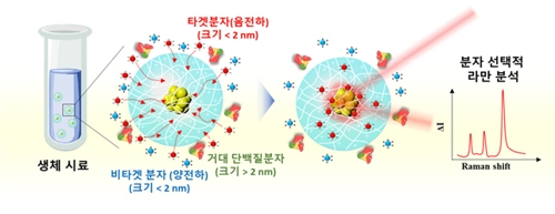 달걀 속 살충제 성분, 현장서 바로 검출한다