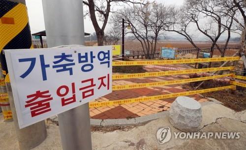 충북도, 철새 AI항원 검출 '긴장'…미호천 10㎞ 방역 강화