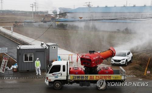 야생조류 AI 동시다발 검출… 지자체 '악몽 재현될라' 초긴장