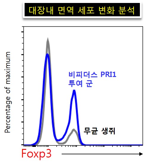 '팔색조' 유산균 프로바이오틱스…면역 치료제 가능성