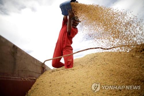 중국 1∼8월 대두 수입 2.1% 감소…美 대두 관세부과 영향