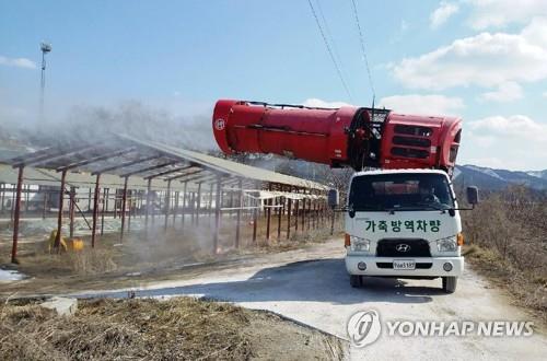 국내에 철새 약 40만 마리 유입…"AI 방역에 총력"