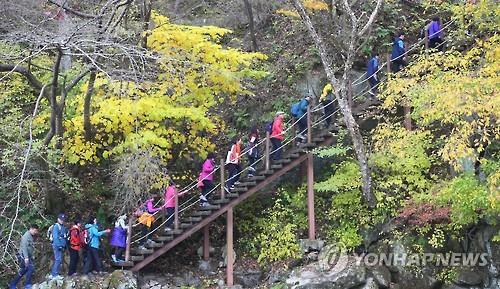 정부, 1인·소자본·신업종 창업규제 105건 풀기로