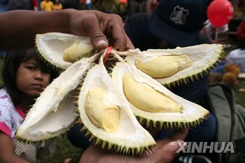 두리안이 뭐길래…중국 수요에 말레이 호랑이 서식처 해체