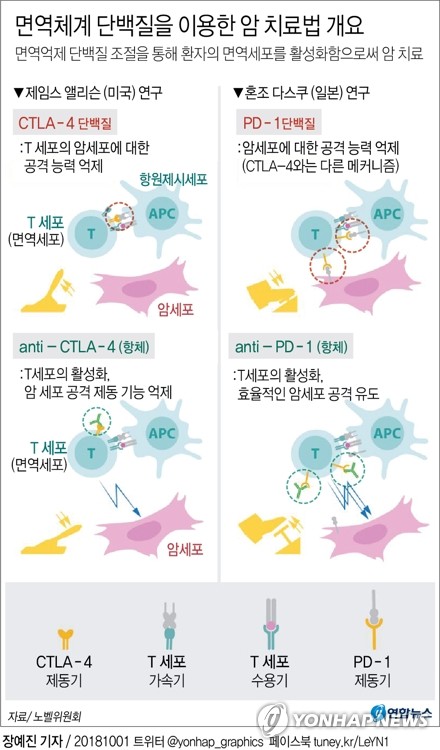 면역항암제 개발 이끈 두 과학자에 노벨생리의학상 영예