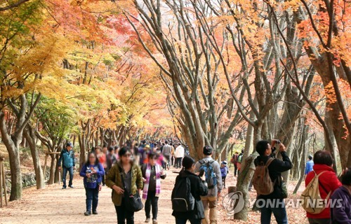 "가을 산으로 떠나자"…전북 유명산 단풍 절정 시기는?