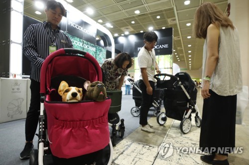 저출산에 육아 가사노동 비중 감소…동식물 돌보기 '껑충'