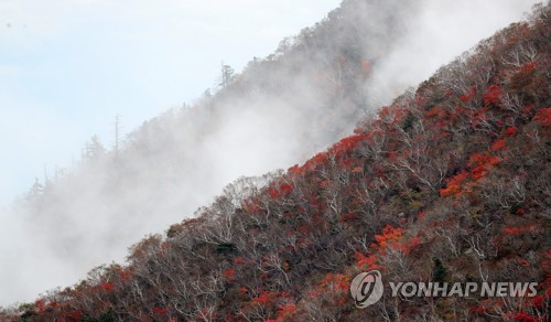 '콩레이' 북상…강원 주말 축제 줄줄이 취소·연기