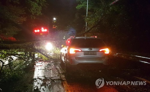 제주 할퀸 '콩레이' 한반도 근접…침수·정전 피해 속출