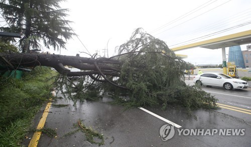 태풍 '콩레이' 한반도 떠나…포항 앞바다 통해 동해로 빠져