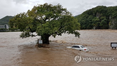 태풍 '콩레이' 이재민 470명…주택 1320여채 침수