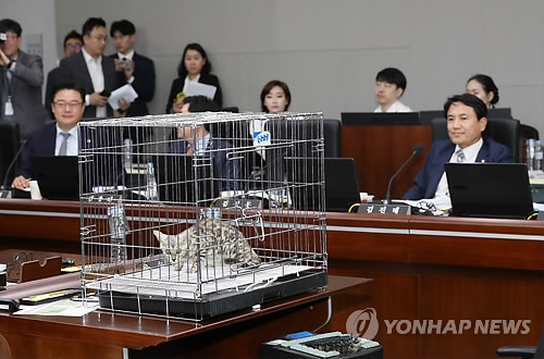 [국감현장] 총리실 대상 정무위 국감에 '벵갈 고양이' 깜짝 등장