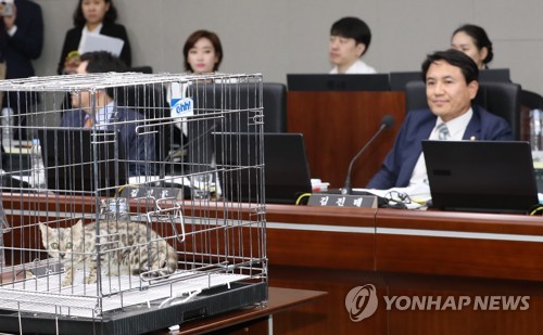 [국감현장] 총리실 대상 정무위 국감에 '벵갈 고양이' 깜짝 등장