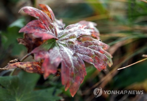 전국 올가을 가장 쌀쌀한 아침…"내륙에는 서리·얼음"