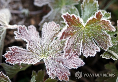 조선 후기 가을 첫서리일 200년간 6일 늦어졌다