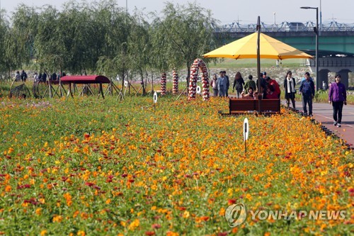 '청명한 가을 하늘…울긋불긋 단풍' 명소마다 행락객 북적