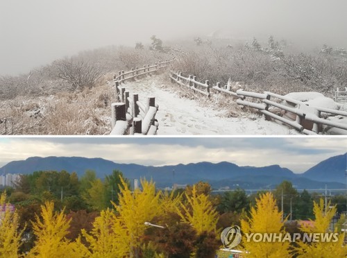 가을에 찾아온 겨울…설악산 중청 20㎝ 첫눈 '펑펑'