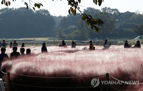 '가을 무르익었네' 울긋불긋 산마다 단풍놀이객 넘실