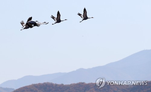 [날씨] 내일은 전국 쾌청…일교차 10도 이상 벌어져