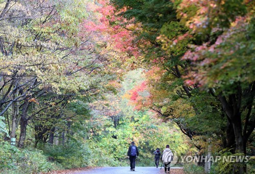 '가을 무르익었네' 울긋불긋 산마다 단풍놀이객 넘실