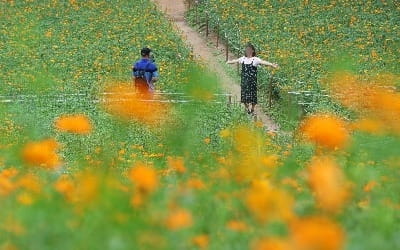 내일 날씨, 대체로 맑음…기온 떨어져 '쌀쌀'