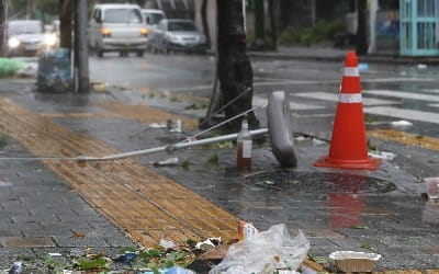 태풍 콩레이 영향에 '정조대왕능행차' 강북구간 행사 모두 취소