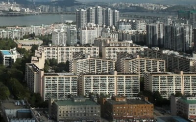 두 달 만에 확 바뀐 강남 부동산 시장…"문의도 없어요"