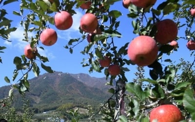 오늘 날씨, 전국 대체로 맑아…일교차 10도 이상 '쌀쌀'