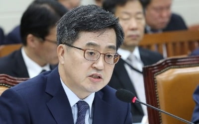 김동연 "보호무역 적극 대처…CPTPP 통해 대외경제 새로운 동력 창출"