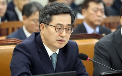 김동연 "증시패닉 아냐…변동성 확대시 컨틴전시 플랜"