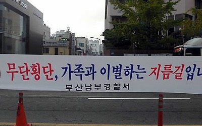 노인 교통사고 사상자 한해 4만명… 노인사고 5년 전보다 25%↑