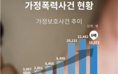 '가정폭력범 접근 막아달라' 청구 6년 새 6배 급증…"대책 시급"