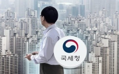 작년 국세청 부동산 세무조사 4년만에 최대…올해 더 늘어나나