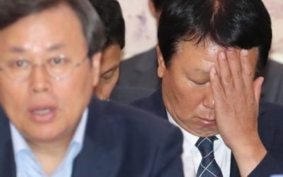 선동열 국감 된 문체부 국감…"사과하든지 사퇴하든지" 요구도