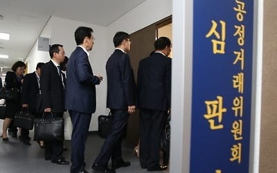 "공정위 형사처벌 면죄부 절반, 대기업이 받았다"