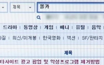 해외서버 둔 음란사이트 150곳 접속 차단…관계기관 공동대응