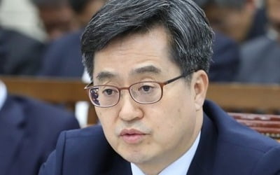 김동연 "구글세 과세권 확보 미비…법인세 과세 준비중"